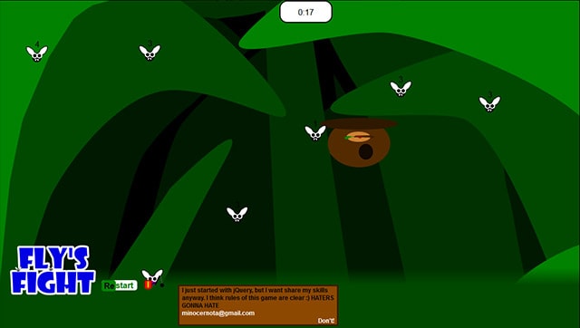 Flies